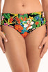 Rosa Faia Wild Garden Ive Bottom